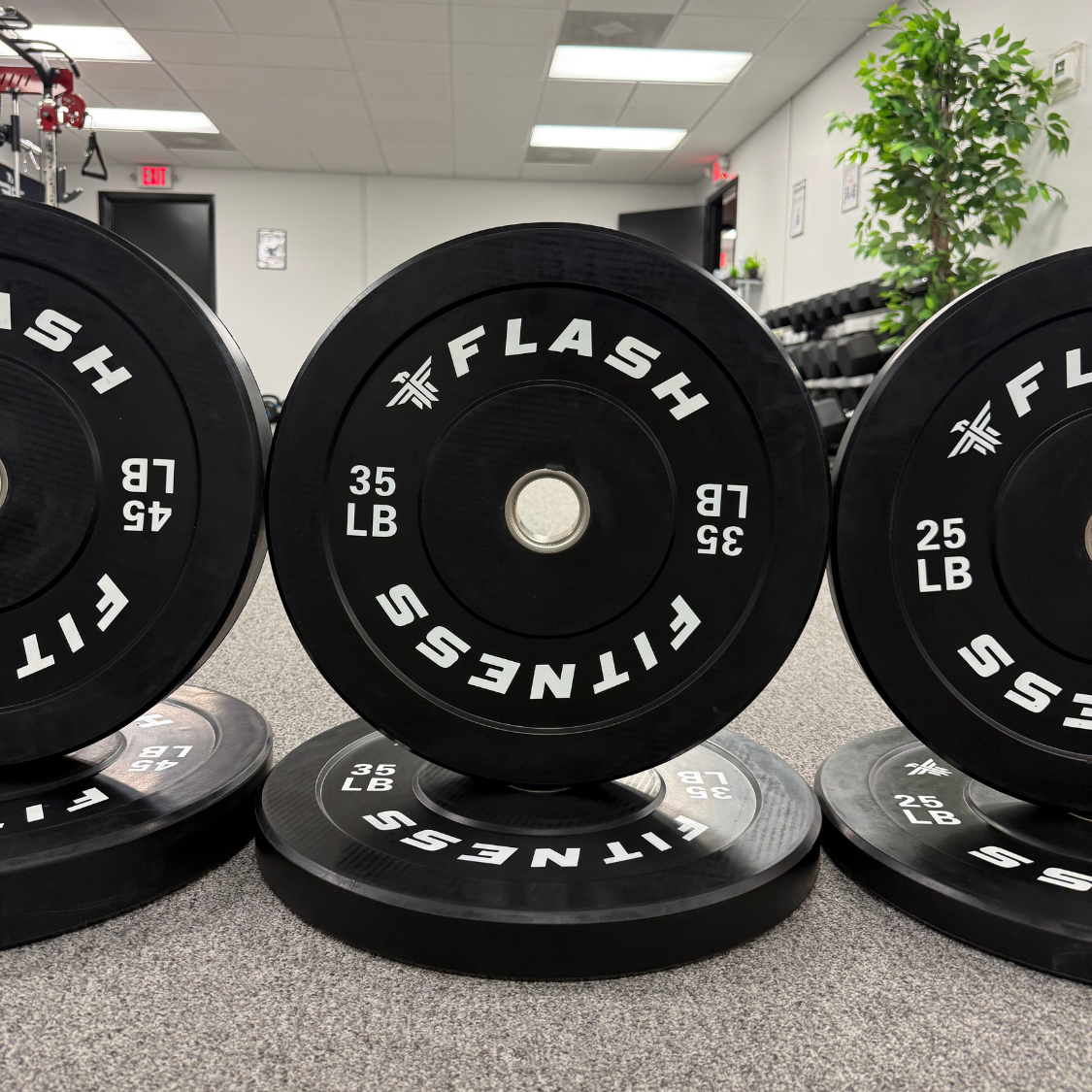Olympic Rubber Bumper Weight Plates