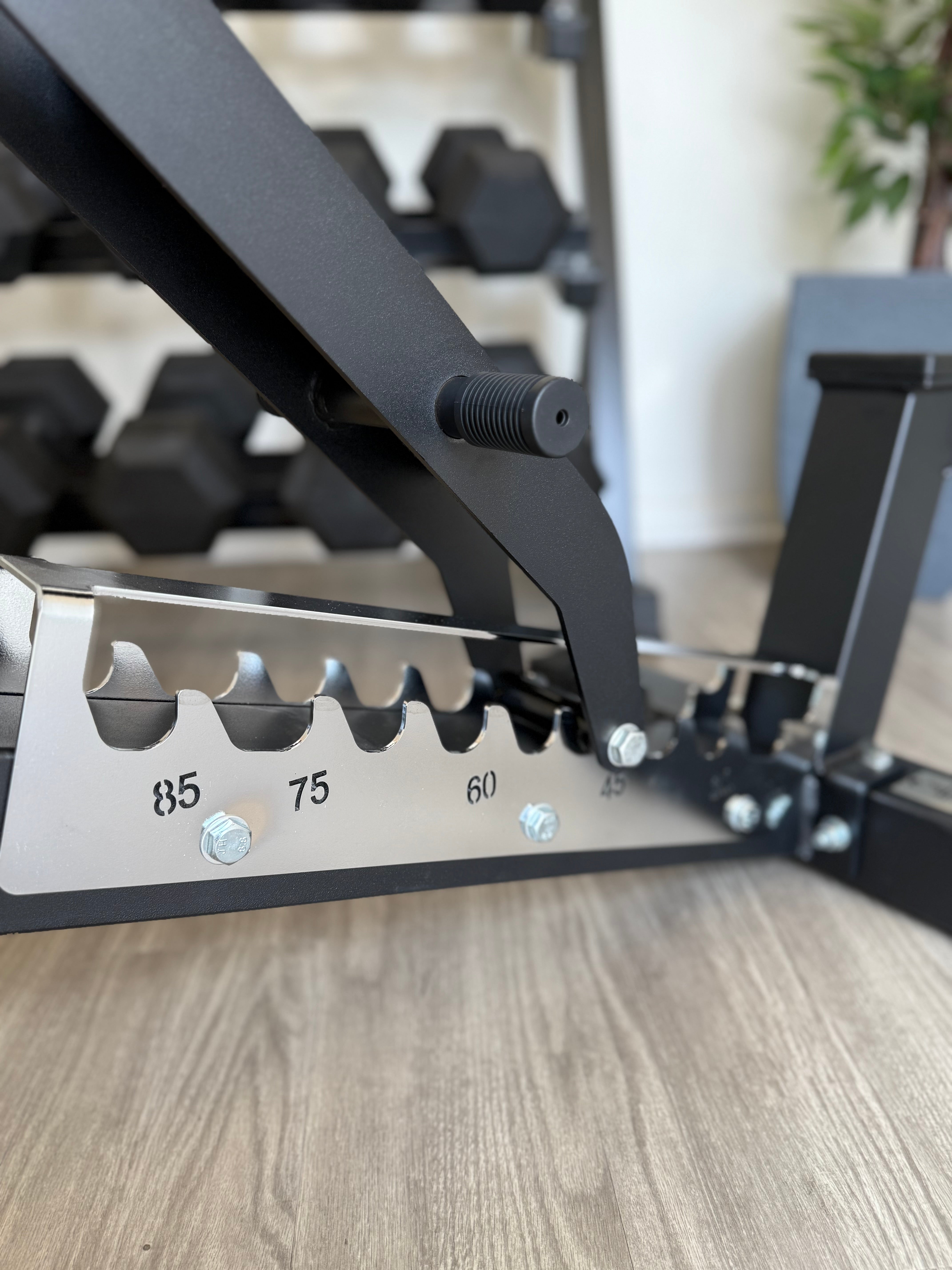 Flash Z20 Adjustable Bench