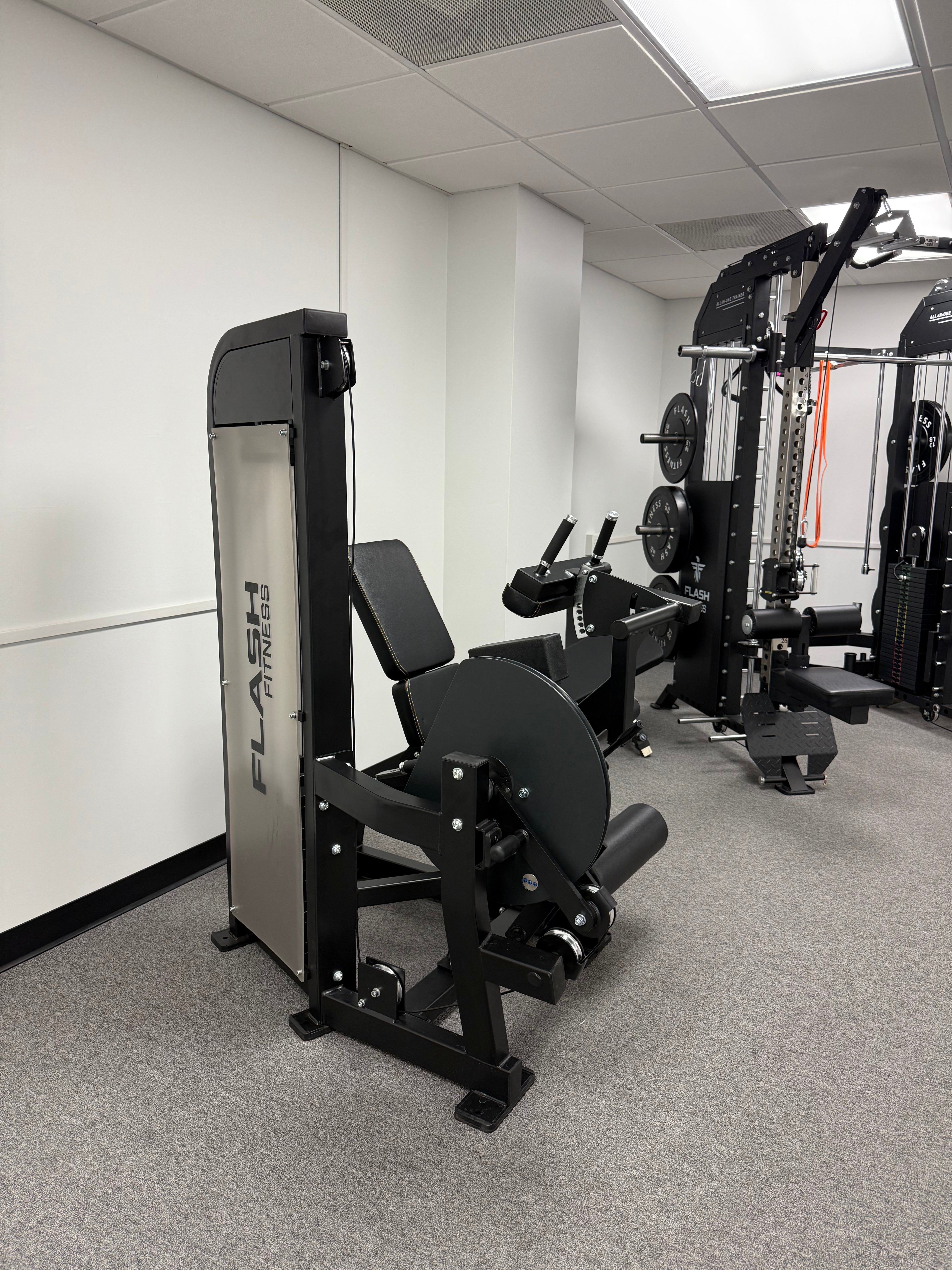 FLASH LEG EXTENSION / HAMSTRNG CURL 2 IN 1