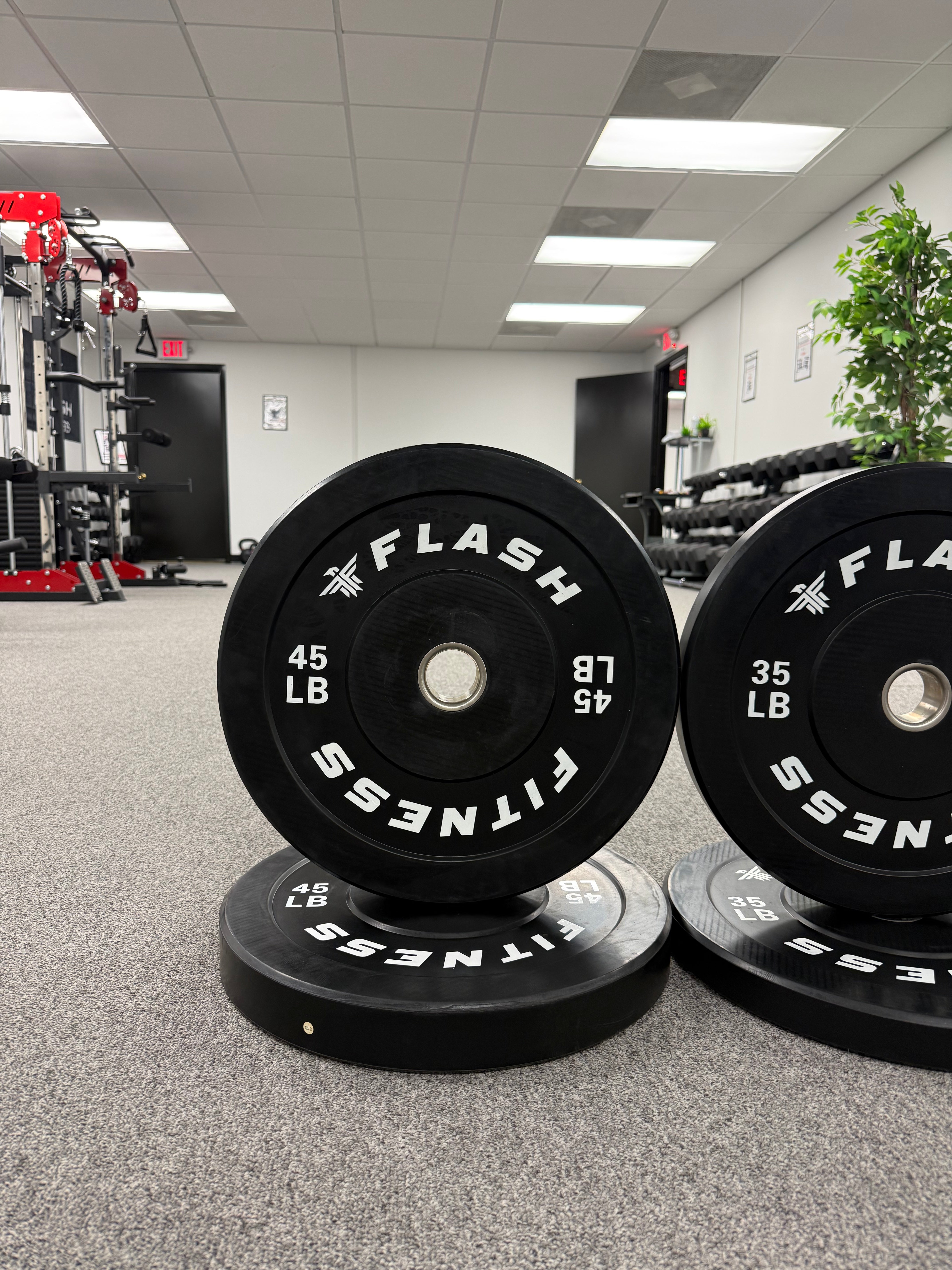 Olympic Rubber Bumper Weight Plates