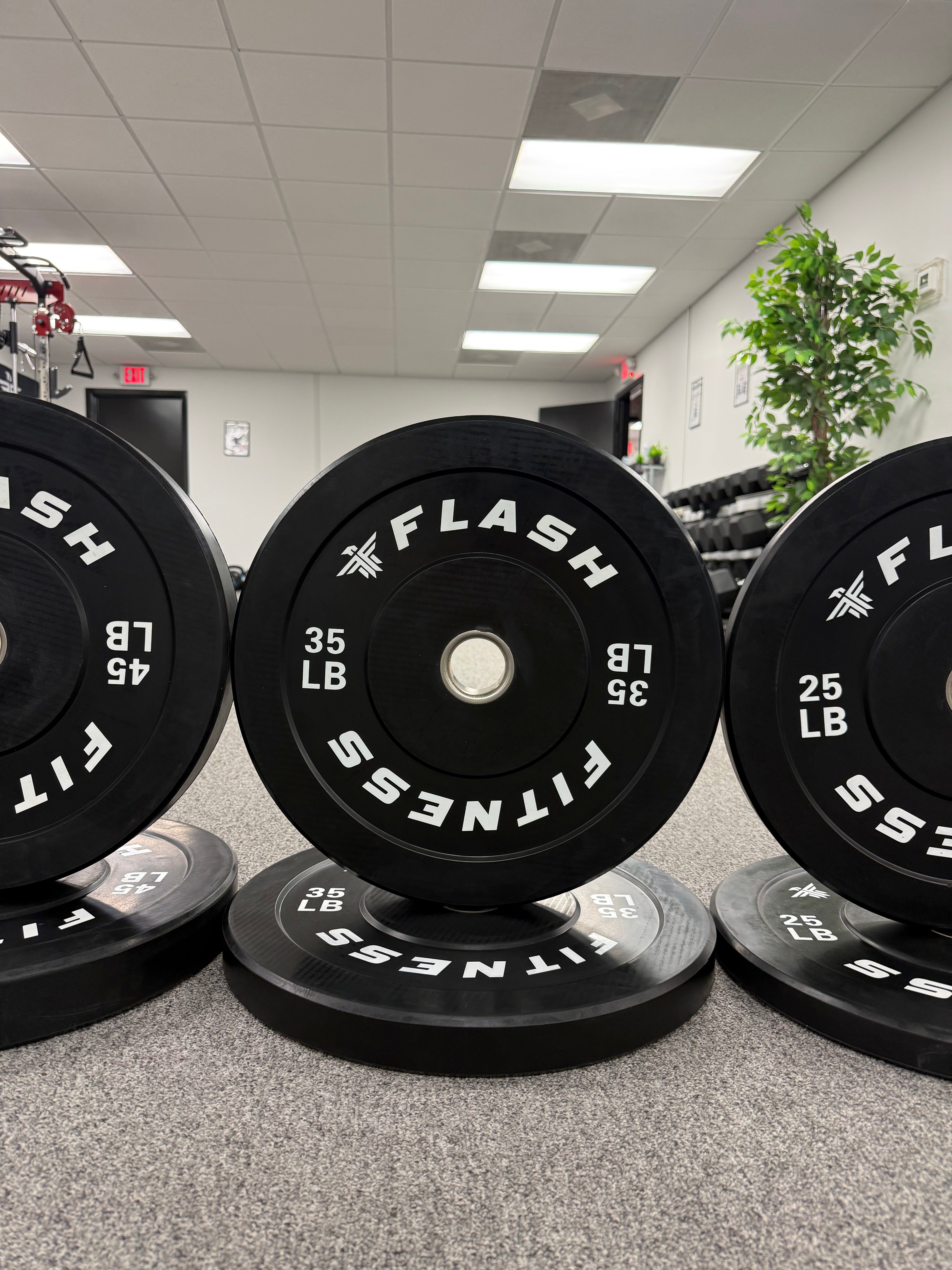 Olympic Rubber Bumper Weight Plates